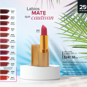 Lápiz Labial Acabado Mate Blindi Red